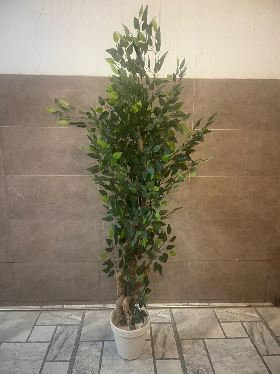 Artificial Ficus Tree
