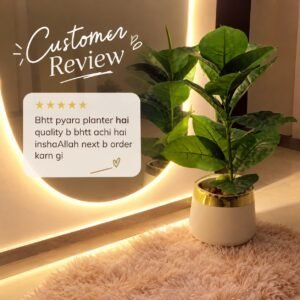 Artificial Plant in a Gold-Trimmed Planter